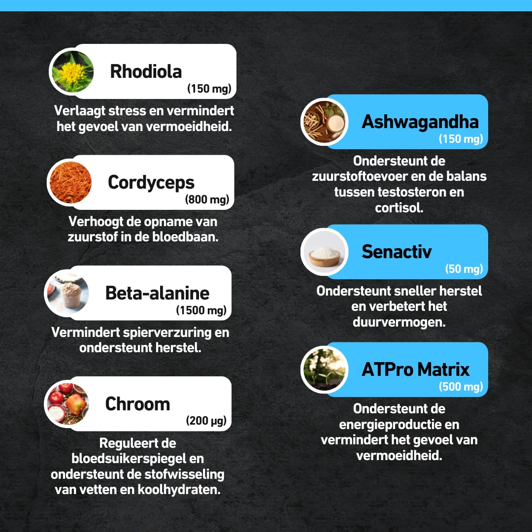Productafbeelding 11