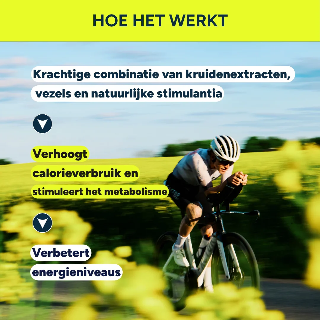 Productafbeelding 3