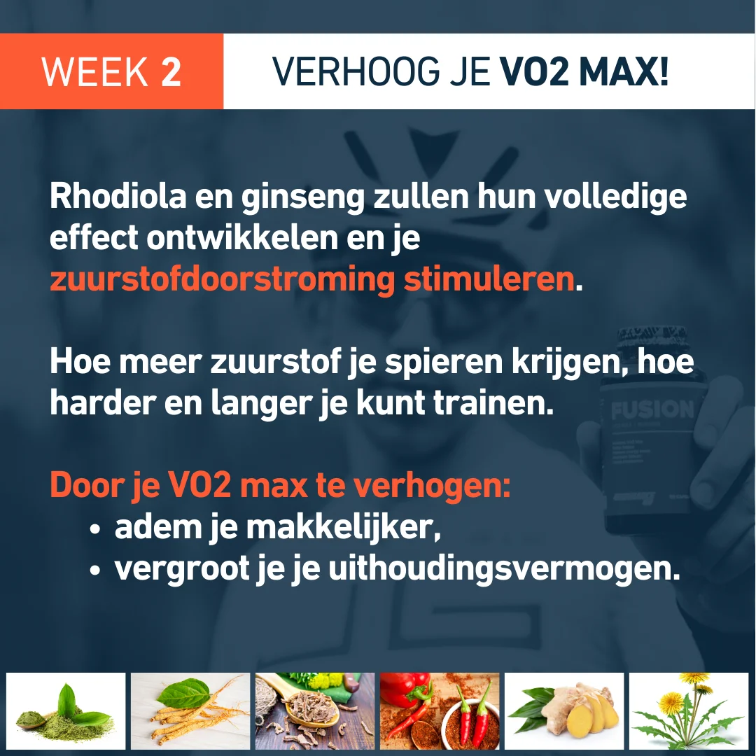 Productafbeelding 5