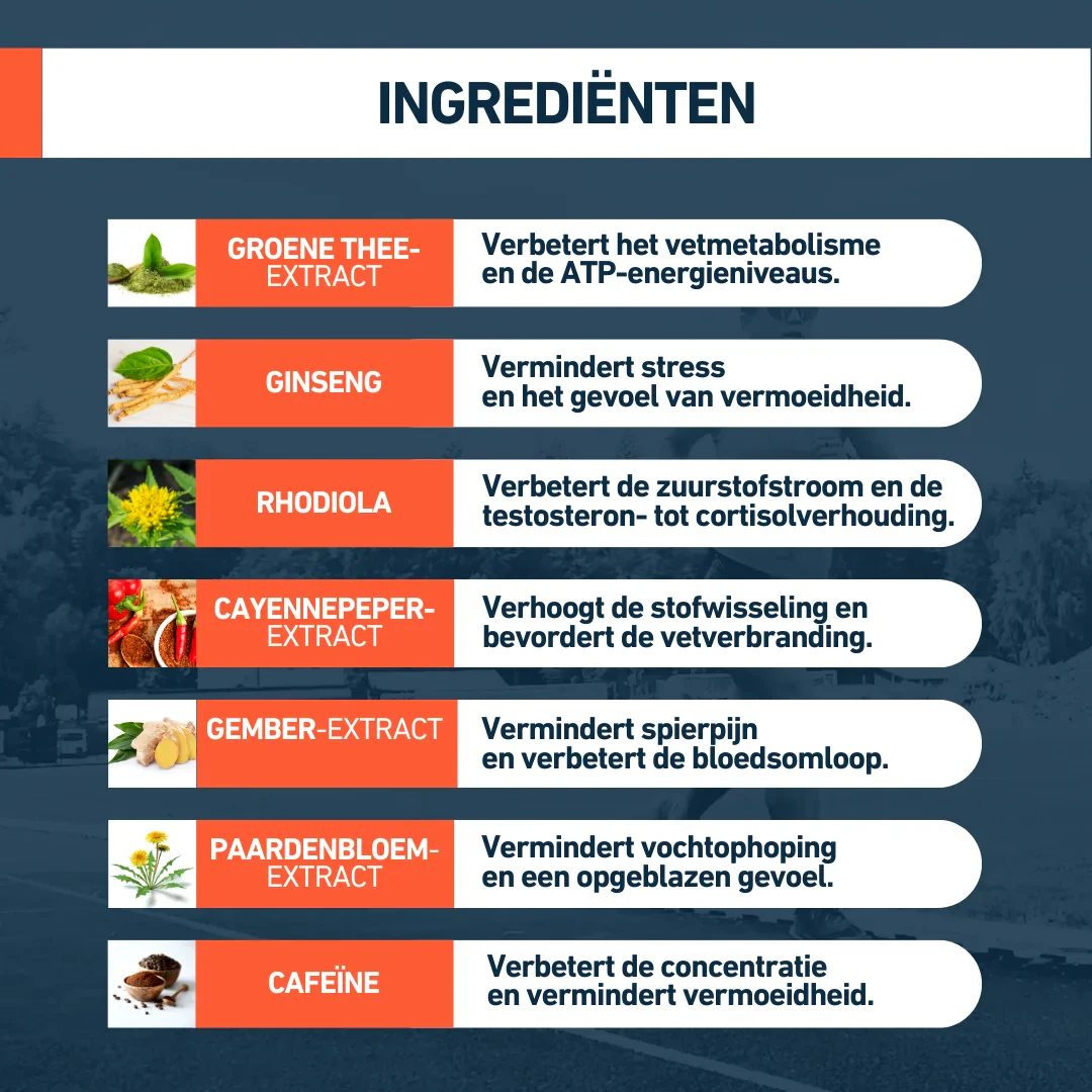Productafbeelding 8