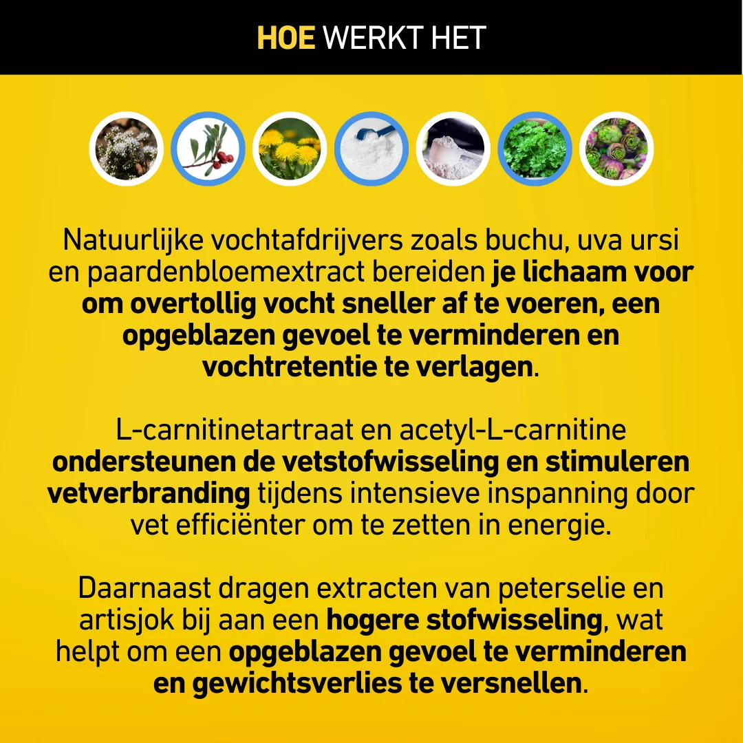 Productafbeelding 7