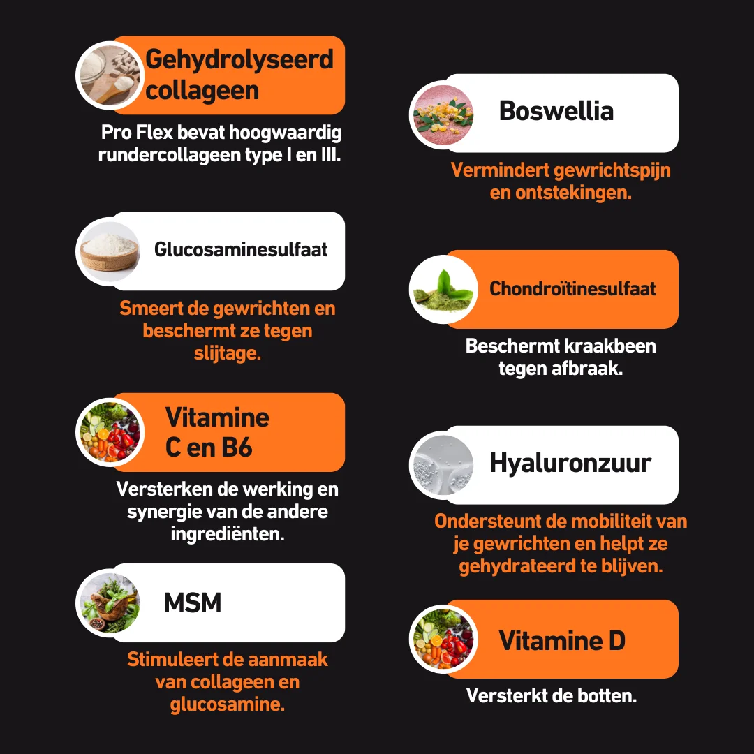 Productafbeelding 5